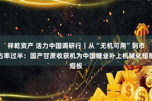 祥乾资产 活力中国调研行｜从“无机可用”到市占率过半：国产甘蔗收获机为中国糖业补上机械化短板