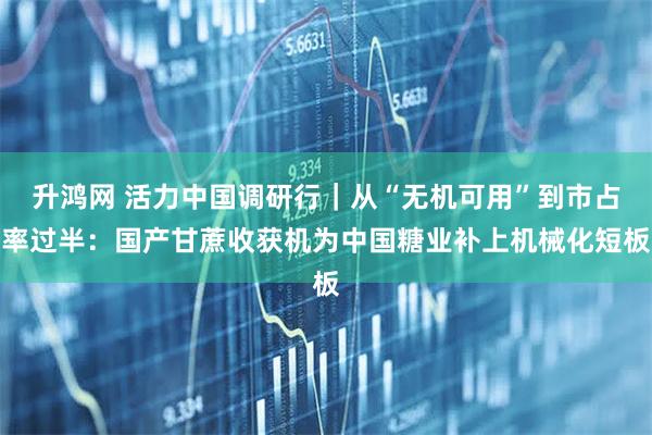 升鸿网 活力中国调研行｜从“无机可用”到市占率过半：国产甘蔗收获机为中国糖业补上机械化短板