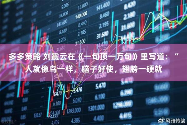 多多策略 刘震云在《一句顶一万句》里写道：“人就像鸟一样，脑子好使，翅膀一硬就