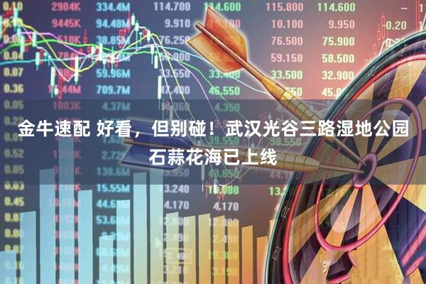 金牛速配 好看,但别碰!武汉光谷三路湿地公园石蒜花海已上线